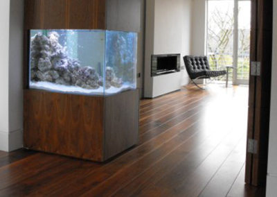 Double Aspect Aquarium [1]