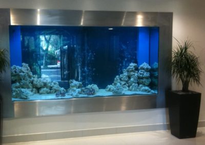 Large Hospital Reception Wall Aquarium [4]
