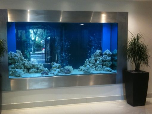 In Wall Aquarium Design Installation Fish Tank Uk Specialist - Fish Tank In Wall Cost Uk In Wall Aquarium Design Installation Fish Tank Uk Specialist - Fish Tank In Wall Cost Uk