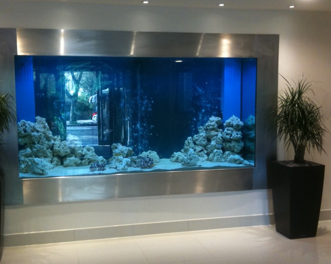 Project-04-Bespoke-London-Aquarium