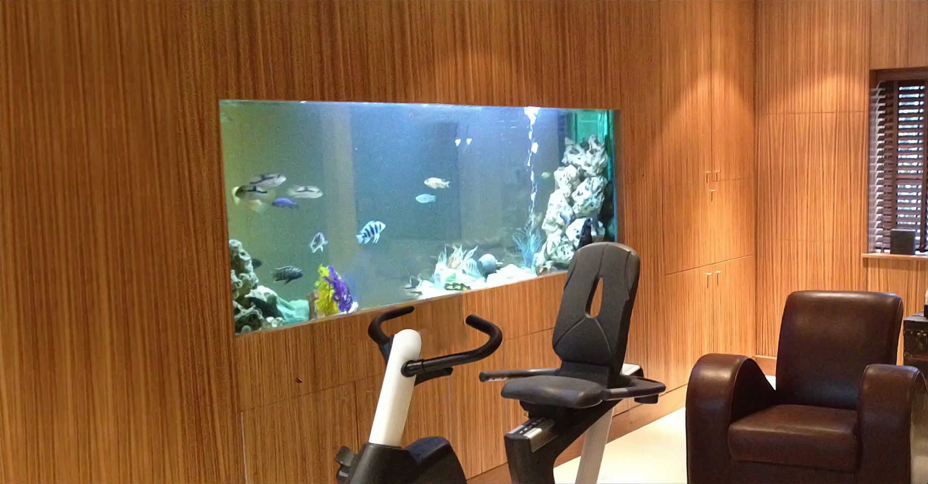 Custom Fish Tanks, Bespoke Aquarium Design & Installation UK