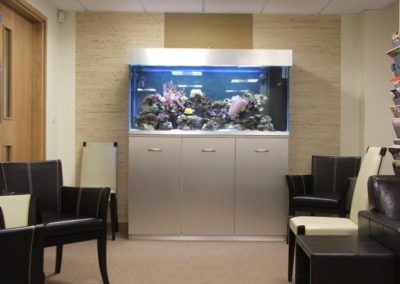 Bespoke Marine Aquarium [25]