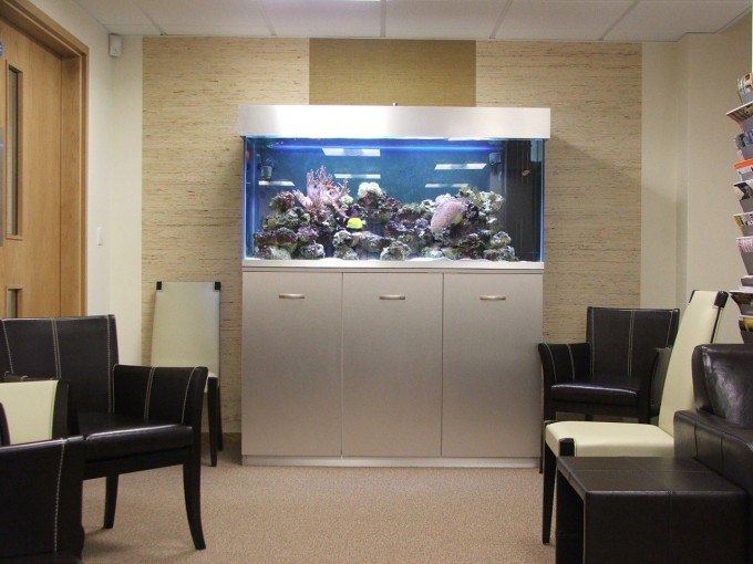 Bespoke Aquarium Hertfordshire Clinic. Project 25.