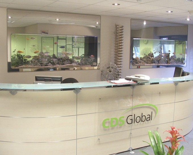 Bespoke Office Aquariums, Leicestershire. Project 16.