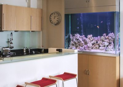 Designer Aquarium, Notting Hill [19]