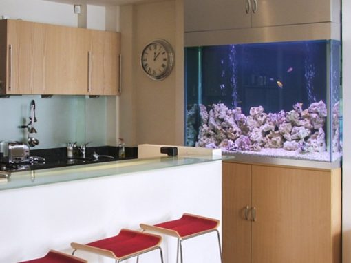 Designer Aquarium, Notting Hill [19]