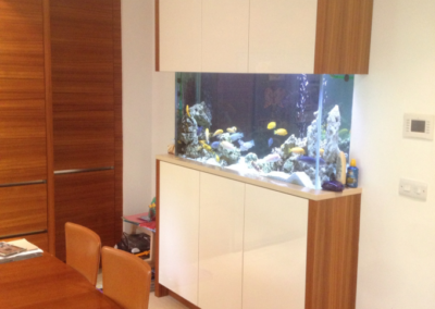 London Designer Home Aquarium [30]