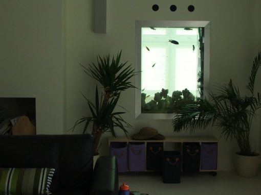 Doorway Aquarium [23]