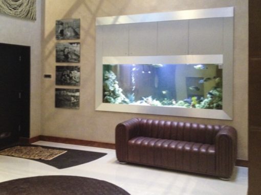 Large Residential In Wall Aquarium [13]