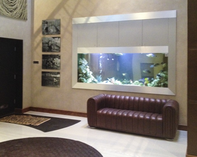 In Wall Aquarium Design & Installation