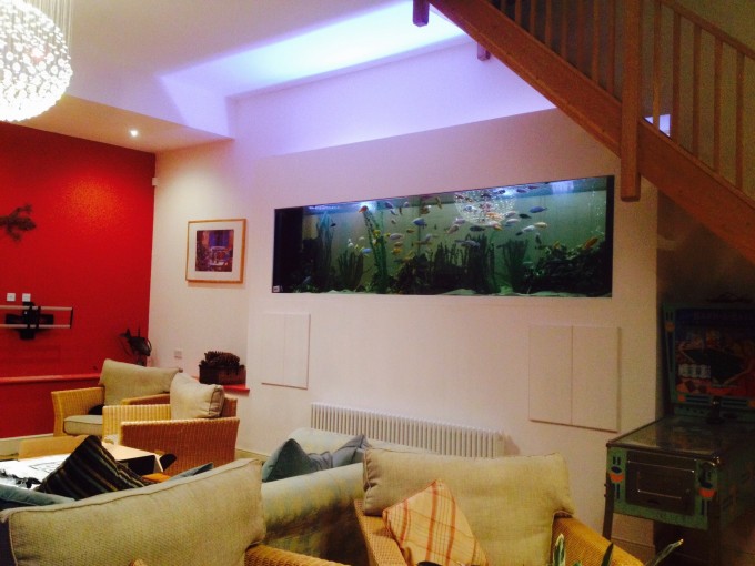 In Wall Aquarium Lincolnshire. Project 36