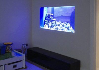 Saltwater In Wall Aquarium [14]