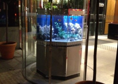 Octagon Aquarium in Stainless Steel [8]