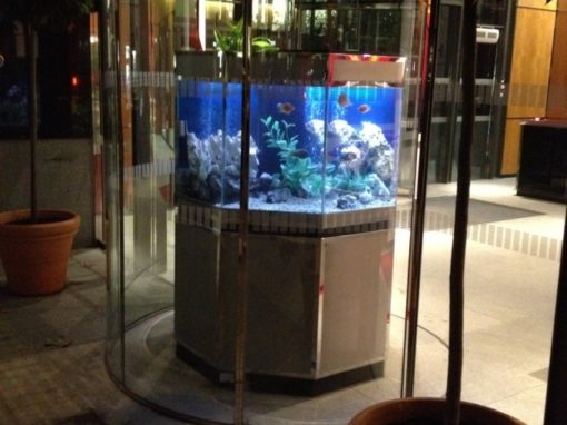 Octagon Aquarium in Stainless Steel [8]