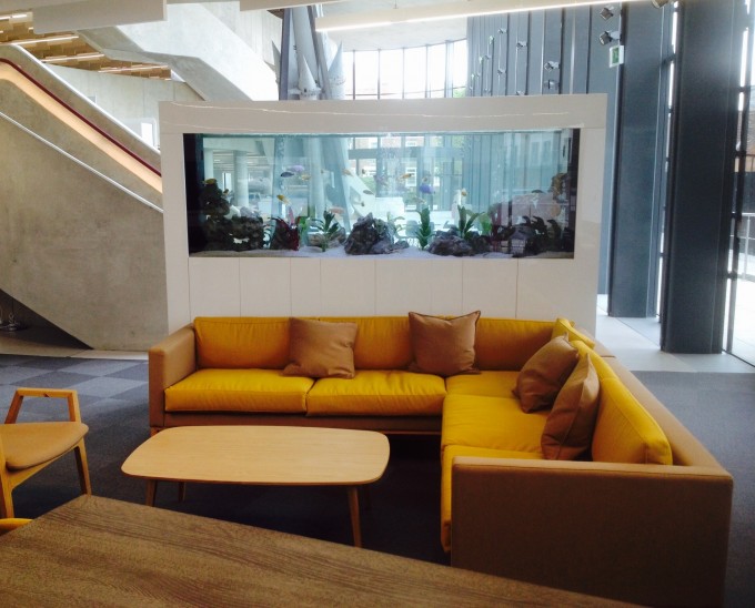 Office Aquarium In York. Project 40