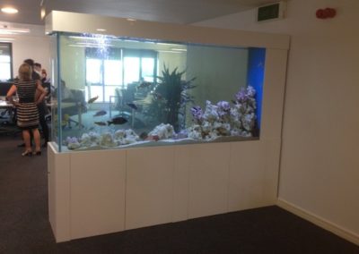 Office Divider Aquarium [31]