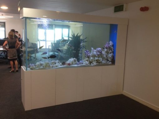 Office Divider Aquarium [31]