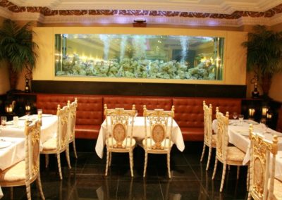 Large Restaurant Aquarium [21]