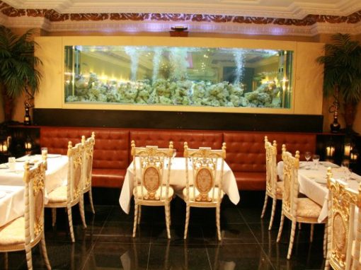 Large Restaurant Aquarium [21]