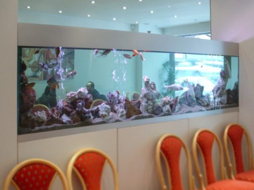 Long Restaurant Aquarium [15]