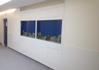 Double Aquariums for a College [35]