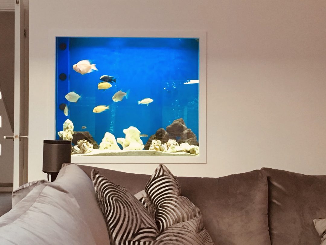 Custom Fish Tank & Aquarium Design Testimonials Aquarium Services