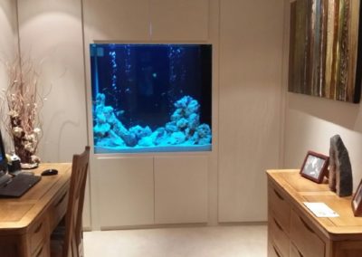 Home Office Through Wall Aquarium [32]