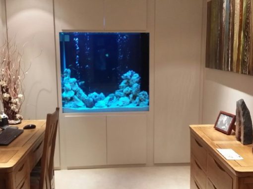 Home Office Through Wall Aquarium [32]