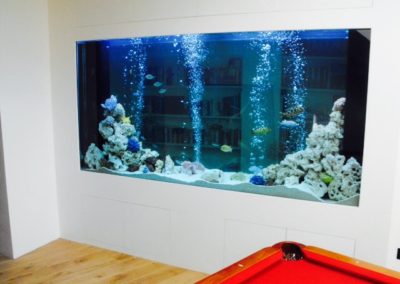 Basement Games Room Aquarium [5]