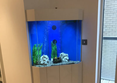 Five Sided Corner Aquarium, London (46)