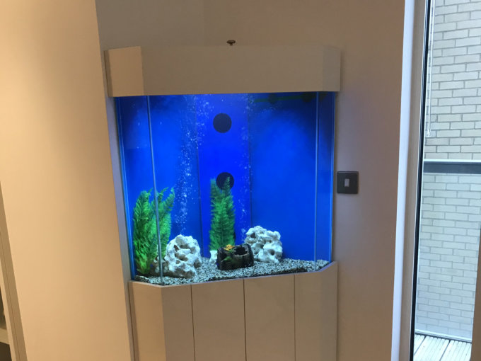 5 sided aquarium london 46