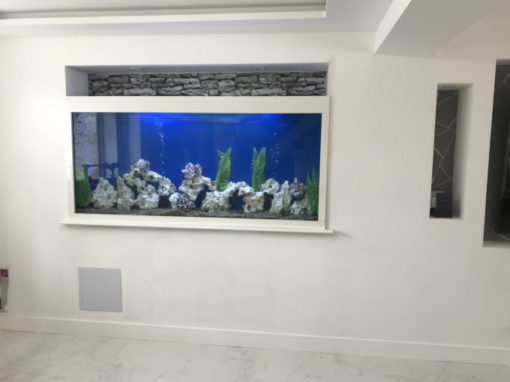 In Wall Aquarium Design Installation Fish Tank Uk Specialist - Fish Tank In Wall Cost
