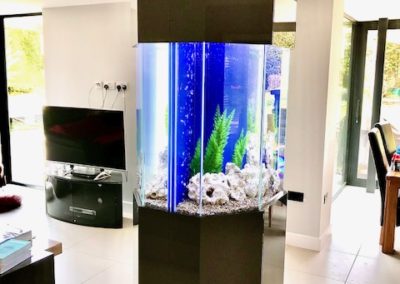 Pair of 6 Sided Aquariums, Leeds (52)