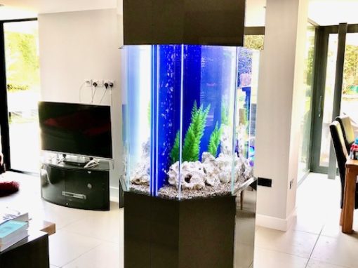 Pair of 6 Sided Aquariums, Leeds (52)