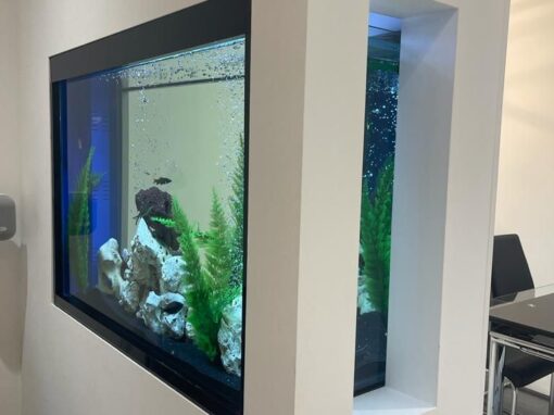 Peninsular Aquarium London (57)