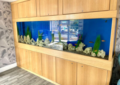 Care Home Aquarium Northamptonshire (58)