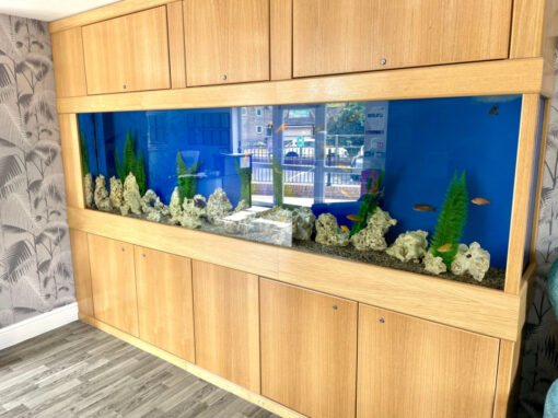 Care Home Aquarium Northamptonshire (58)