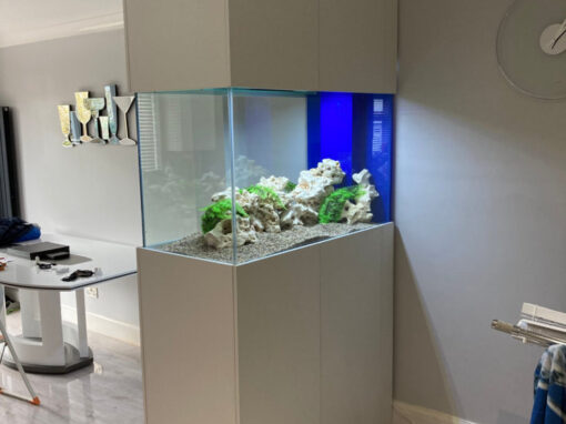 Peninsula Aquarium Essex (59)