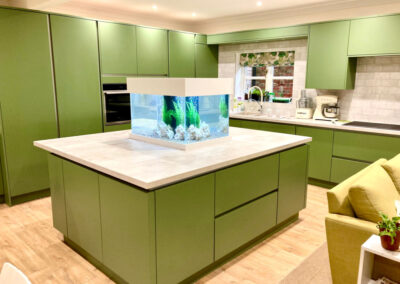 Kitchen Island Aquarium, Norfolk (62)