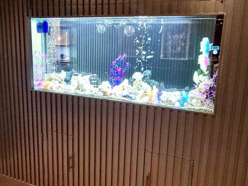 Timber Frame Through Wall Aquarium, East Sussex (63)