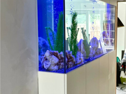 Through Wall Aquarium, Surrey (64)