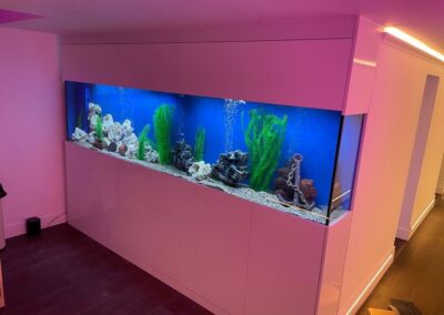 Basement Aquarium, Lincolnshire (66)