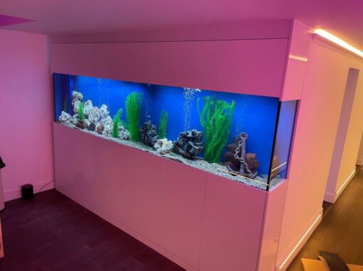 Basement Aquarium, Lincolnshire (66)