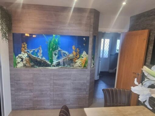 Five Sided Aquarium, Derby (67)