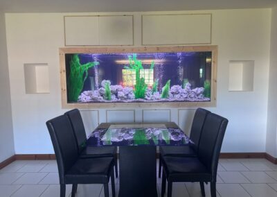 Aquarium Between Two Rooms, Inverness (69)