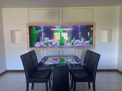 Aquarium Between Two Rooms, Inverness (69)