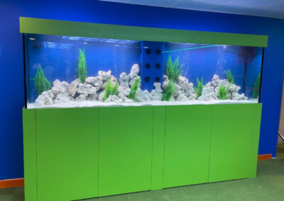 3 Metre Green Aquarium (81)