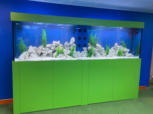 3 Metre Green Aquarium (81)