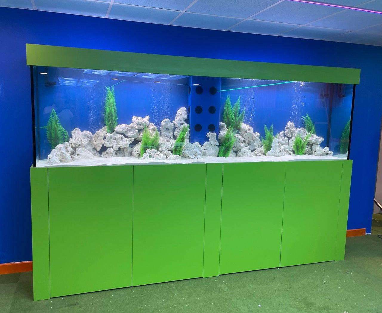 green-aquarium-installer