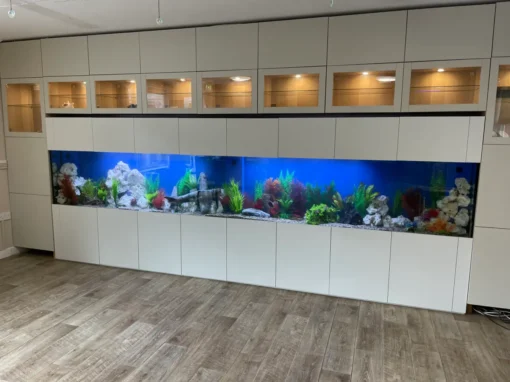 Large Care Home Aquarium (83)